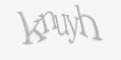 Защитный код